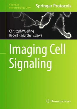 Abbildung von Wuelfing / Murphy | Imaging Cell Signaling | 1. Auflage | 2024 | 2800 | beck-shop.de