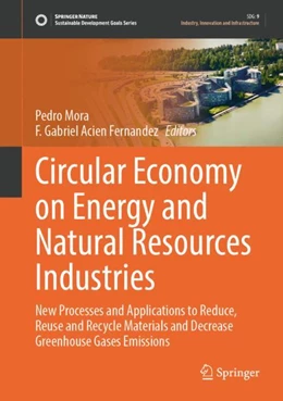 Abbildung von Mora / Acien Fernandez | Circular Economy on Energy and Natural Resources Industries | 1. Auflage | 2024 | beck-shop.de