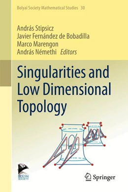 Abbildung von Stipsicz / de Bobadilla | Singularities and Low Dimensional Topology | 1. Auflage | 2024 | 30 | beck-shop.de