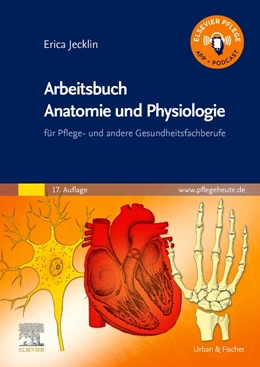Abbildung von Brühlmann-Jecklin | Arbeitsbuch Anatomie und Physiologie | 17. Auflage | 2024 | beck-shop.de