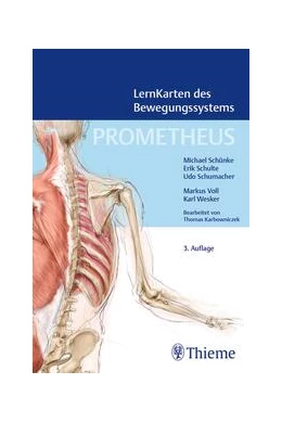 Abbildung von PROMETHEUS LernKarten des Bewegungssystems | 3. Auflage | 2024 | beck-shop.de