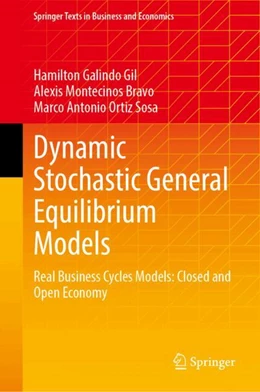 Abbildung von Galindo Gil / Montecinos Bravo | Dynamic Stochastic General Equilibrium Models | 1. Auflage | 2024 | beck-shop.de