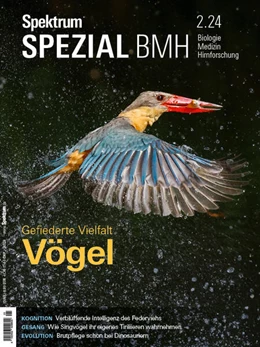 Abbildung von Spektrum der Wissenschaft | Spektrum Spezial BMH 2/2024 - Vögel | 1. Auflage | 2024 | beck-shop.de