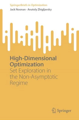 Abbildung von Noonan / Zhigljavsky | High-Dimensional Optimization | 1. Auflage | 2024 | beck-shop.de
