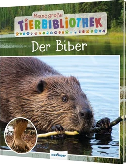 Abbildung von Gutjahr | Meine große Tierbibliothek: Der Biber | 1. Auflage | 2024 | beck-shop.de