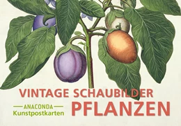 Abbildung von Postkarten-Set Vintage-Schaubilder Pflanzen | 1. Auflage | 2024 | beck-shop.de