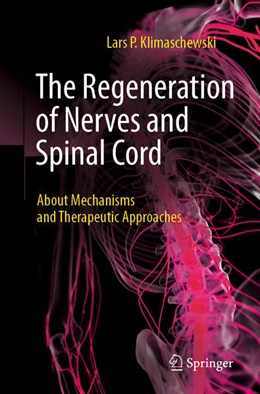 Abbildung von Klimaschewski | The Regeneration of Nerves and Spinal Cord | 1. Auflage | 2024 | beck-shop.de