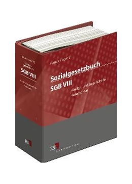 Abbildung von Hauck / Noftz | Sozialgesetzbuch (SGB) VIII: Kinder- und Jugendhilfe • mit Aktualisierungsservice | 1. Auflage | 2020 | beck-shop.de
