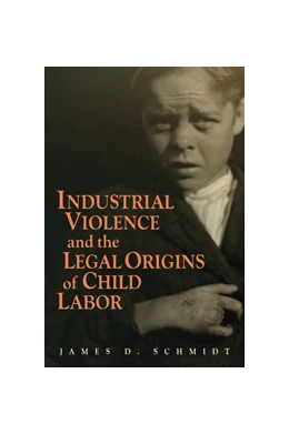 Abbildung von Schmidt | Industrial Violence and the Legal Origins of Child Labor | 1. Auflage | 2010 | beck-shop.de