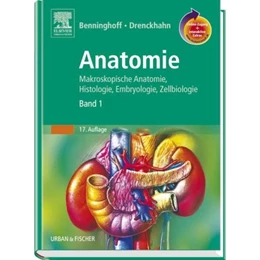 Abbildung von Benninghoff / Drenckhahn | Anatomie | 17. Auflage | 2008 | beck-shop.de