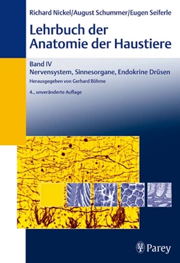 Abbildung von Nickel | Lehrbuch der Anatomie der Haustiere, Band IV: Nervensystem, Sinnesorgane, Endokrine Drüsen | 4. Auflage | 2003 | beck-shop.de