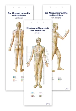 Abbildung von Kolster | Akupunktur-Poster-Set | 1. Auflage | 2008 | beck-shop.de