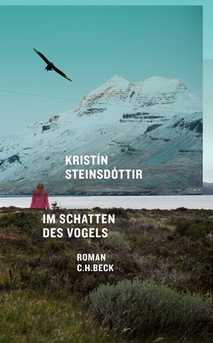 Cover: Kristín Steinsdóttir, Im Schatten des Vogels