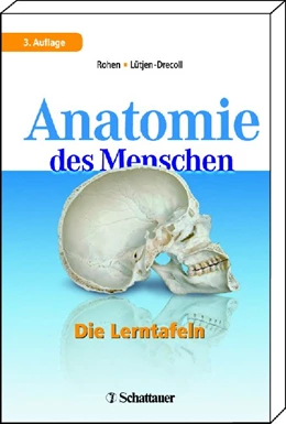 Abbildung von Rohen / Lütjen-Drecoll | Anatomie des Menschen | 7. Auflage | 2011 | beck-shop.de