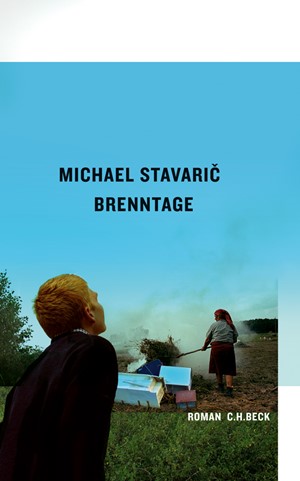 Cover: Michael Stavaric, Brenntage