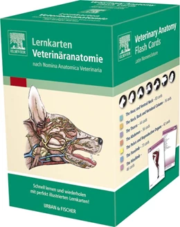 1e Lernkarten Veterinäranatomie/Veterinary Anatomy Flash Cards 
