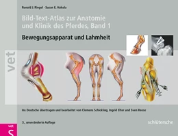 Abbildung von Riegel / Hakola | Bild-Text-Atlas zur Anatomie und Klinik des Pferdes | 3. Auflage | 2010 | beck-shop.de