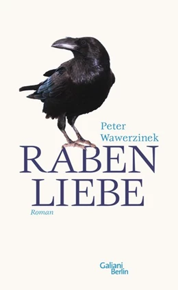 Abbildung von Wawerzinek | Rabenliebe | 1. Auflage | 2010 | beck-shop.de