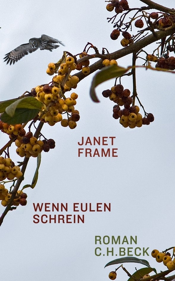 Cover: Frame, Janet, Wenn Eulen schrein