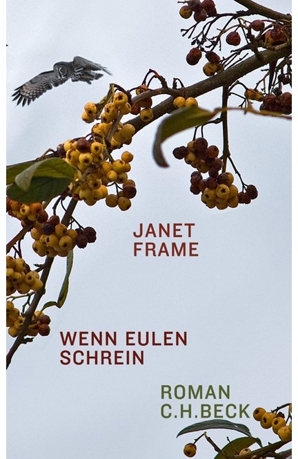 Cover: Janet Frame, Wenn Eulen schrein