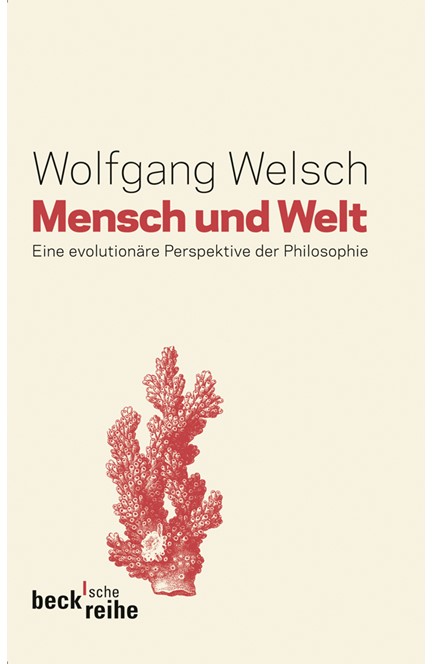 Cover: Wolfgang Welsch, Mensch und Welt