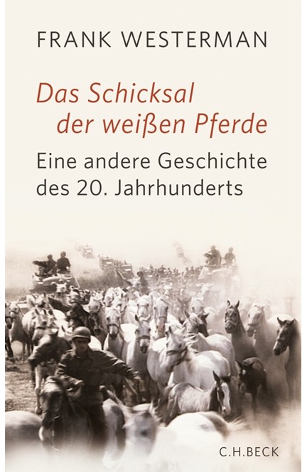 Cover: Frank Westerman, Das Schicksal der weißen Pferde