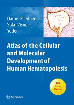 Abbildung von Dame / Fliedner | Atlas of the Cellular and Molecular Development of Human Hematopoiesis | 1. Auflage | 2025 | beck-shop.de