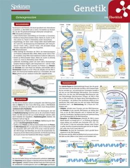 Abbildung von Lerntafel: Genetik im Überblick | 2. Auflage | 2011 | beck-shop.de